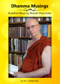 Dhamma Musings (pdf)