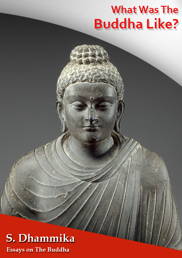What was the Buddha Like – BudBlooms